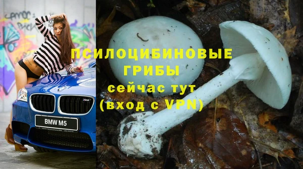 а пвп мука Лиски