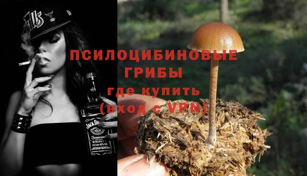 а пвп мука Лиски