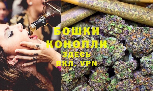 спиды Липки