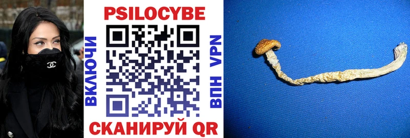 Галлюциногенные грибы Psilocybe  наркотики  Новый Уренгой 