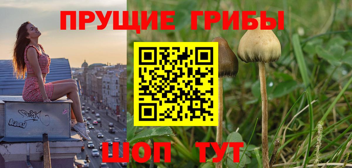 Псилоцибиновые грибы MAGIC MUSHROOMS Новый Уренгой