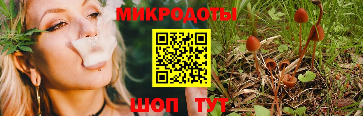 Псилоцибиновые грибы прущие грибы  где купить   Вход с VPN  Новый Уренгой  Псилоцибиновые грибы Magic Shrooms 