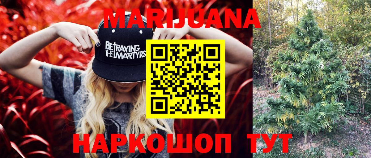 Шишки марихуана сатива Новый Уренгой